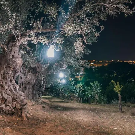 Palmi * 아그리젠토