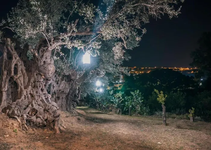 Palmi * Agrigento